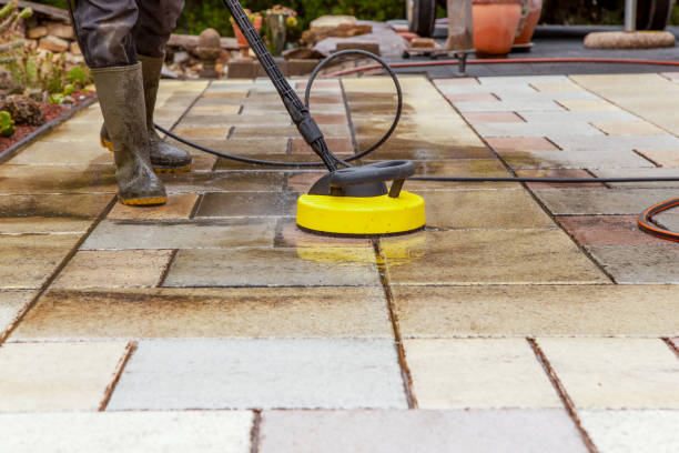 Best Roof Cleaning and Mildew Removal in Pleasant Hill, TX