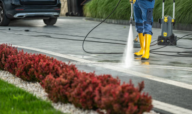 Best Parking Lot Cleaning in Pleasant Hill, TX